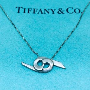 RARE Tiffany & Co. Paloma Picasso 925 Sterling Silver Cancer Zodiac Necklace